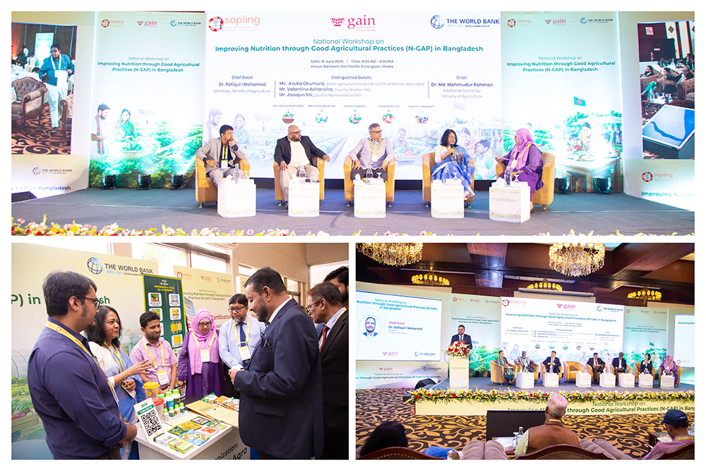 National N-GAP Workshop